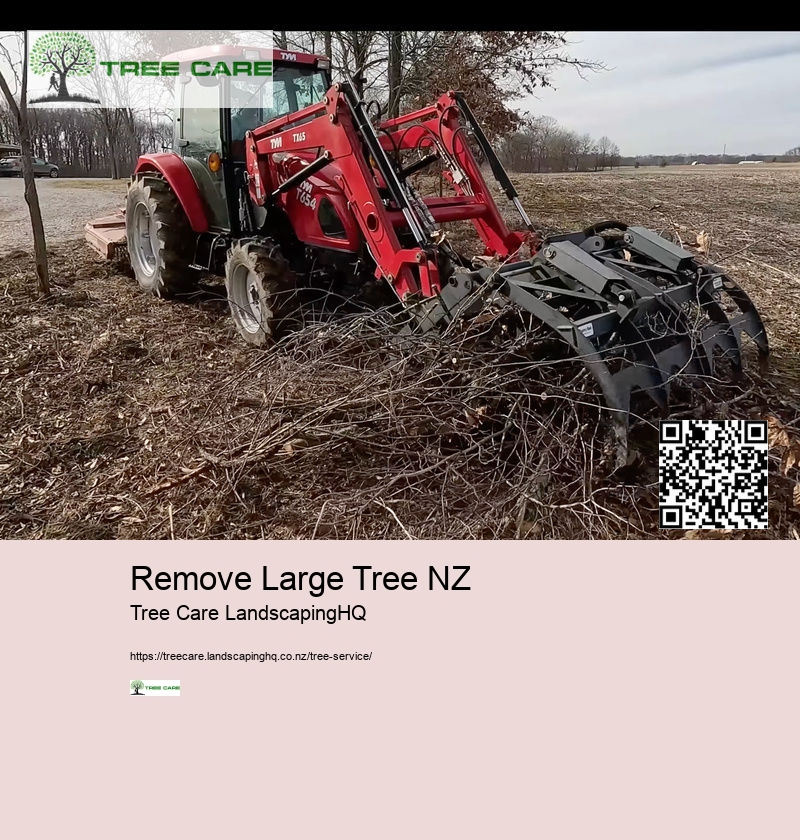 Remove Large Tree NZ