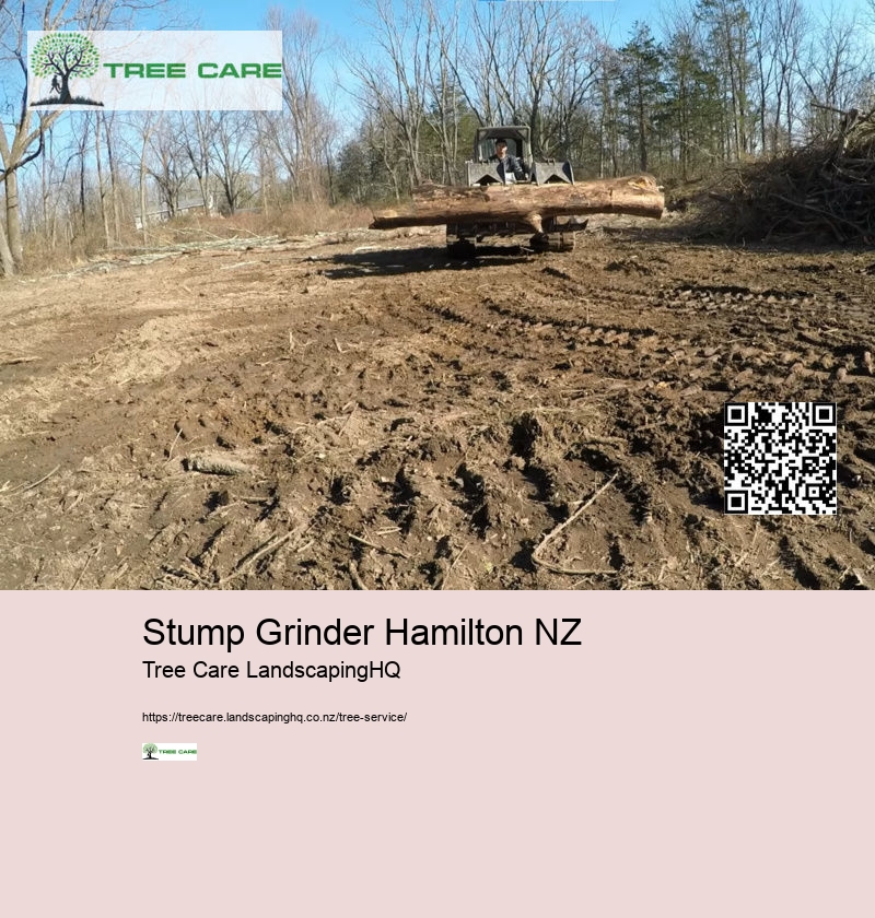 Stump Grinder Hamilton NZ