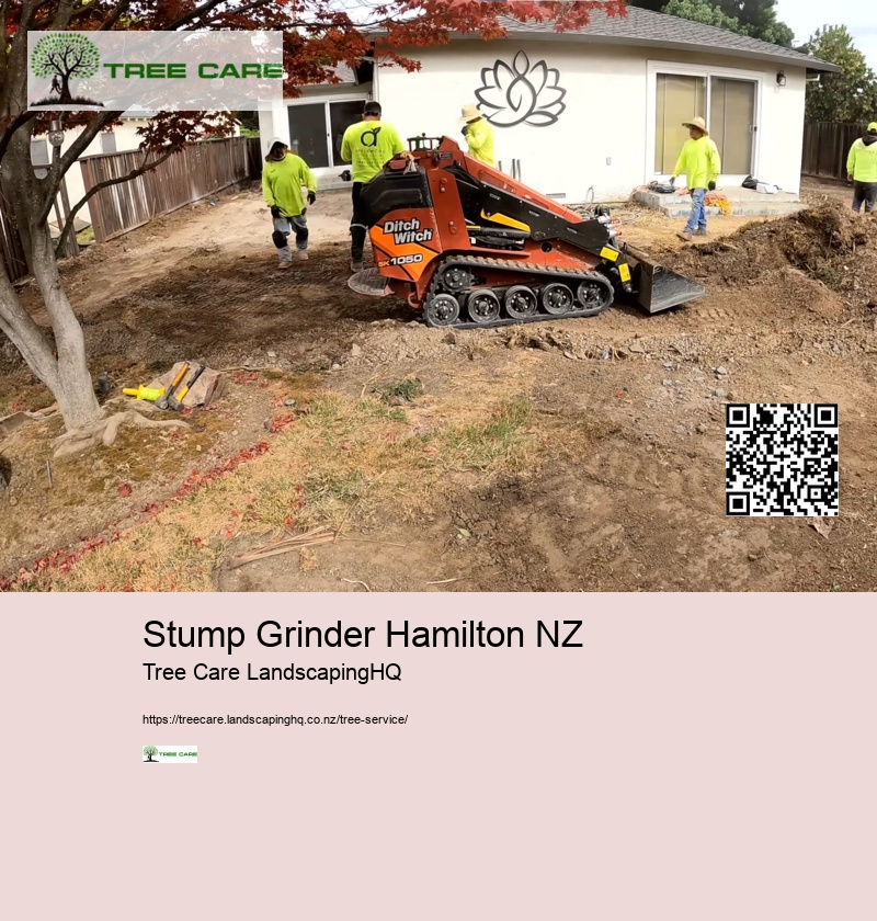 Tree Removal Tauranga