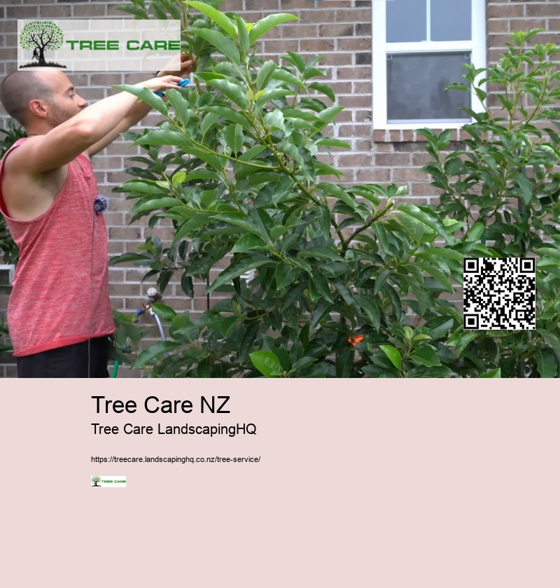 Arborist Cost Per Hour NZ