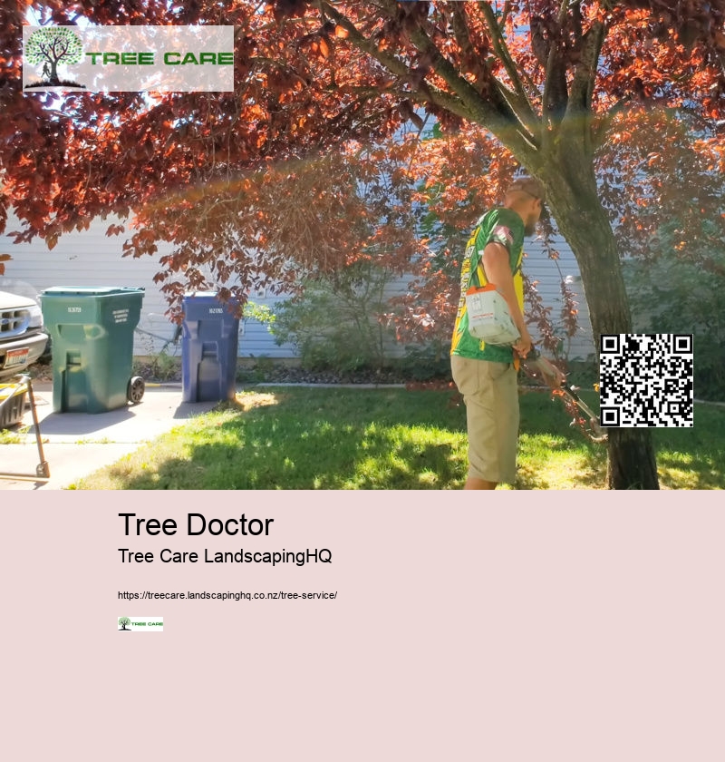 Arborist Hamilton New Zealand