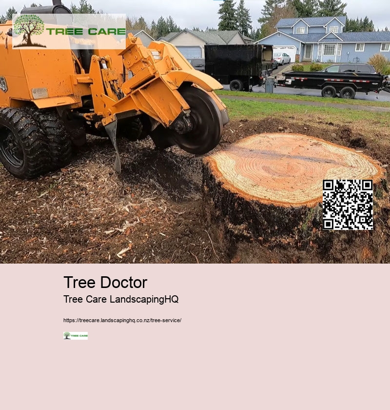 Tree Services Tauranga