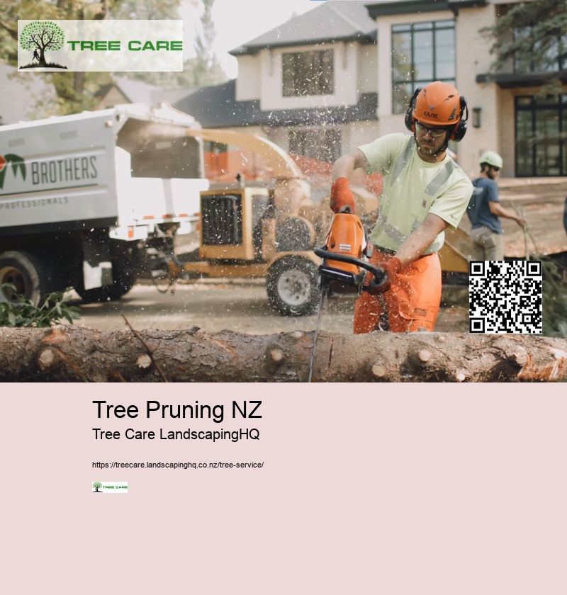 Tree Trimmers Auckland