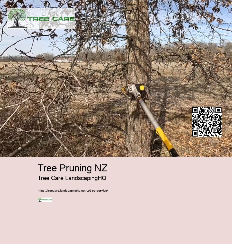 Tree Pruning NZ