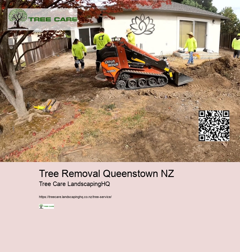 Arborist Hastings NZ