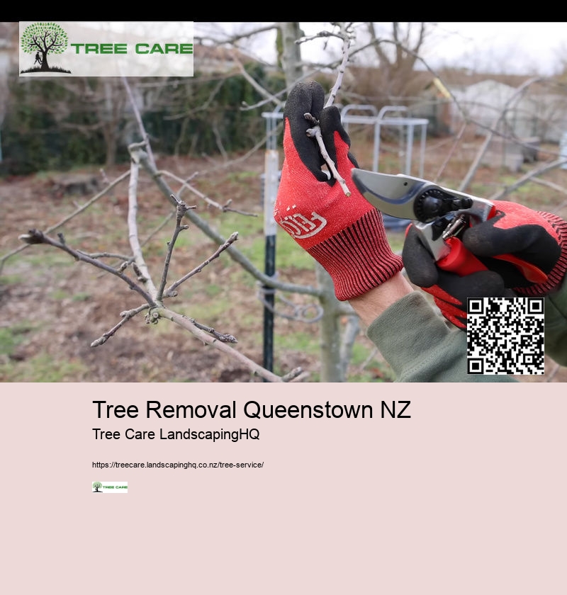 Qualified Arborist