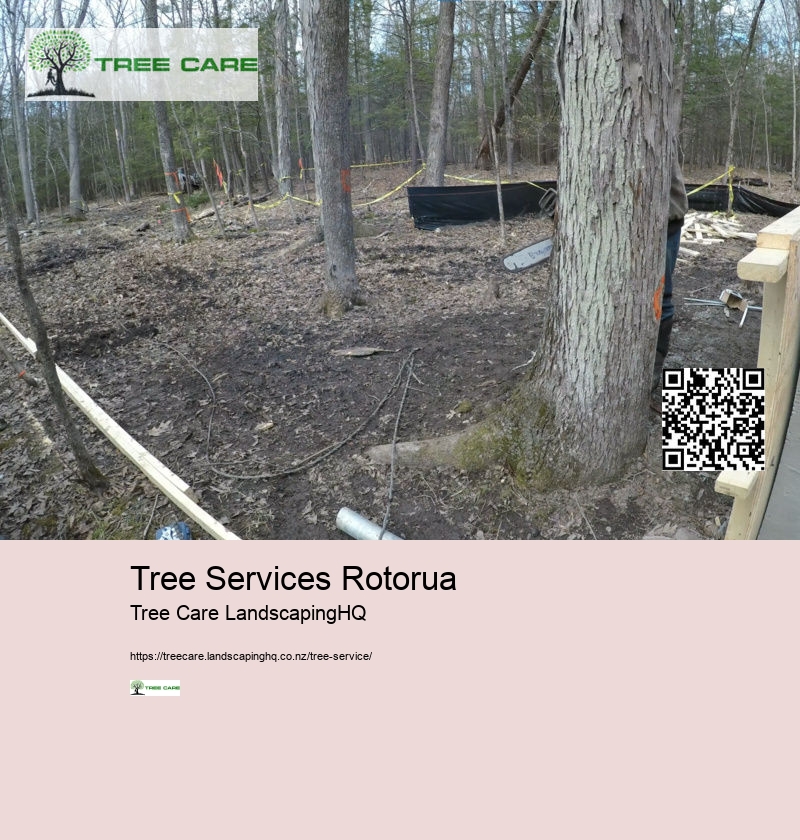 Tree Services Christchurch