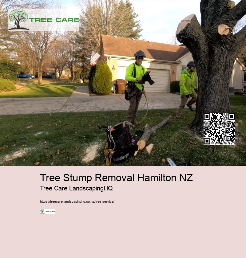 Tree Services North Shore Auckland