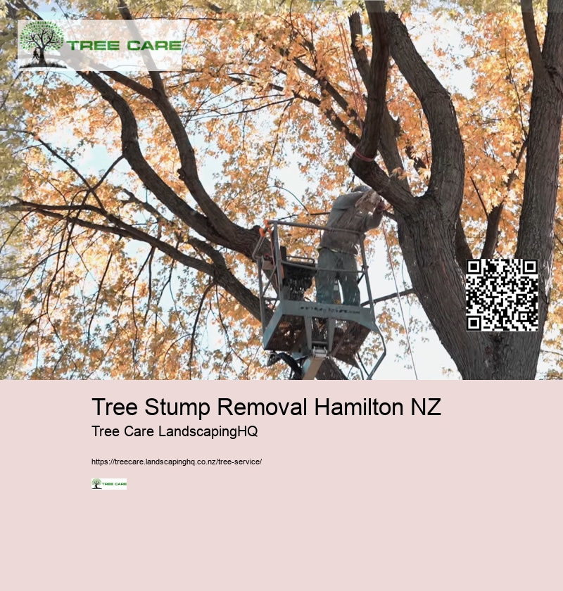 Tree Services New Plymouth