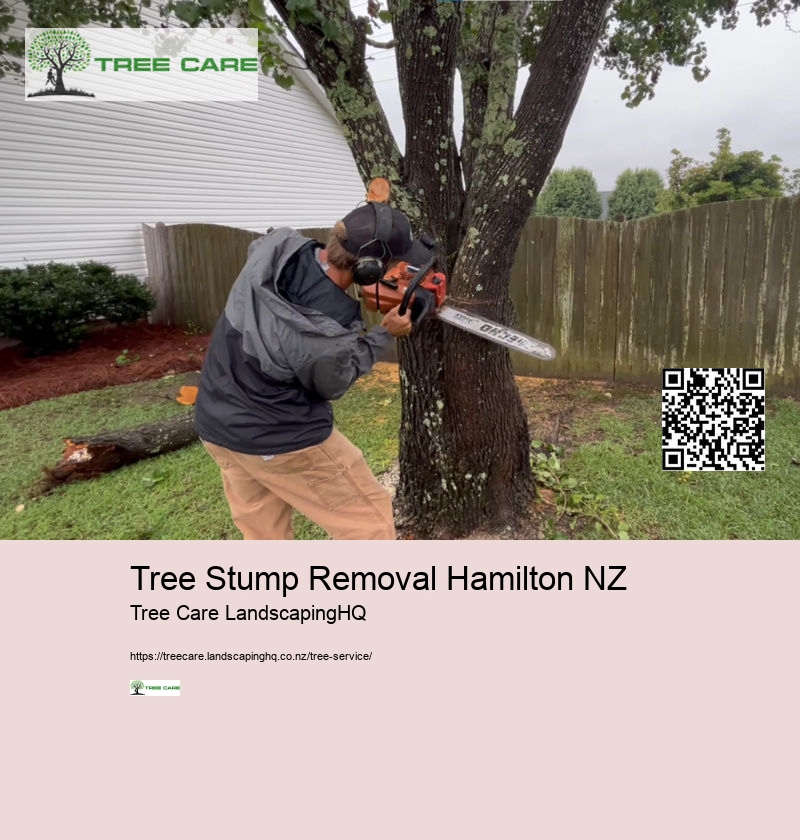 Stump Grinder Hamilton NZ