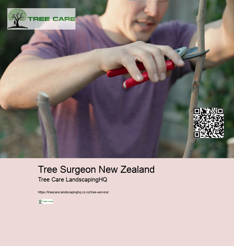 Tree Removal Dunedin