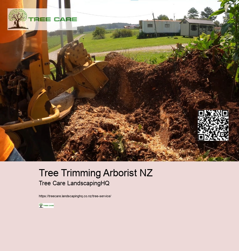 Tree Trimming Tauranga