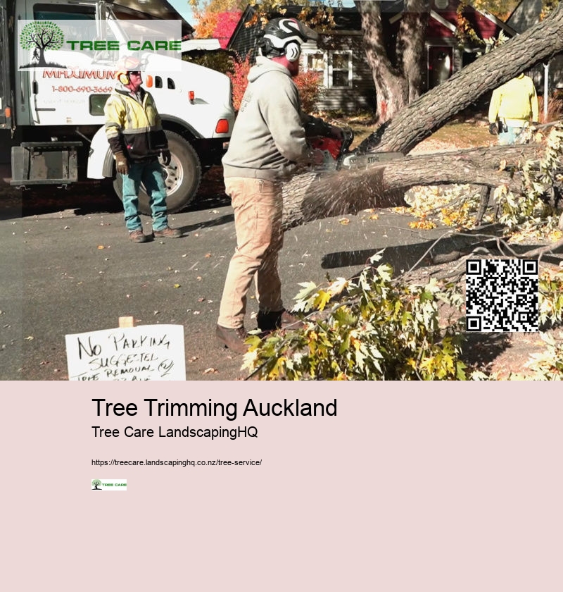 Arborist Rotorua