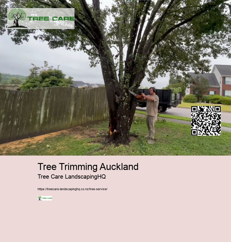 Arborist Cost NZ