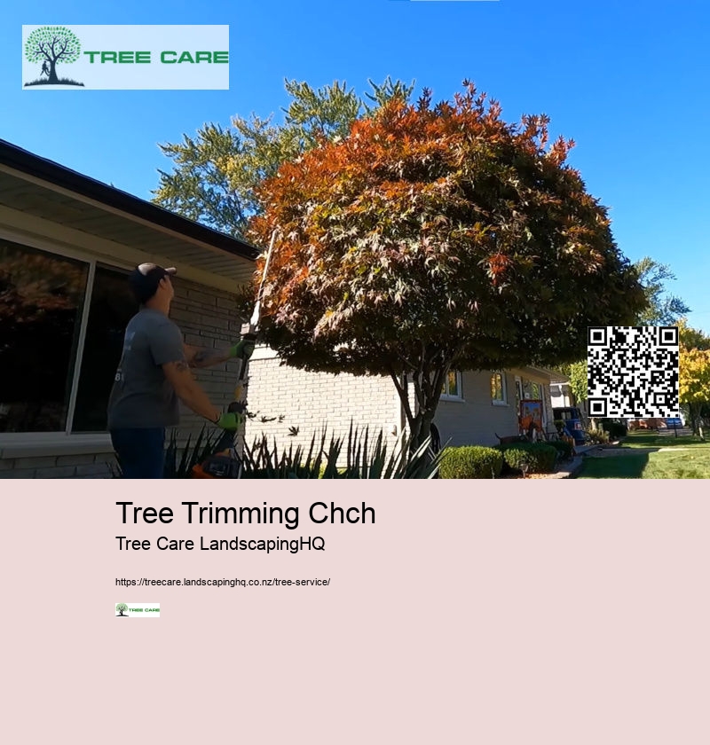 Tree Service NZ