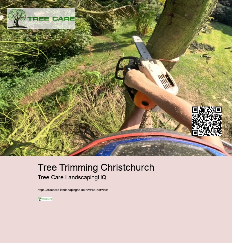 Arborist Wellington NZ