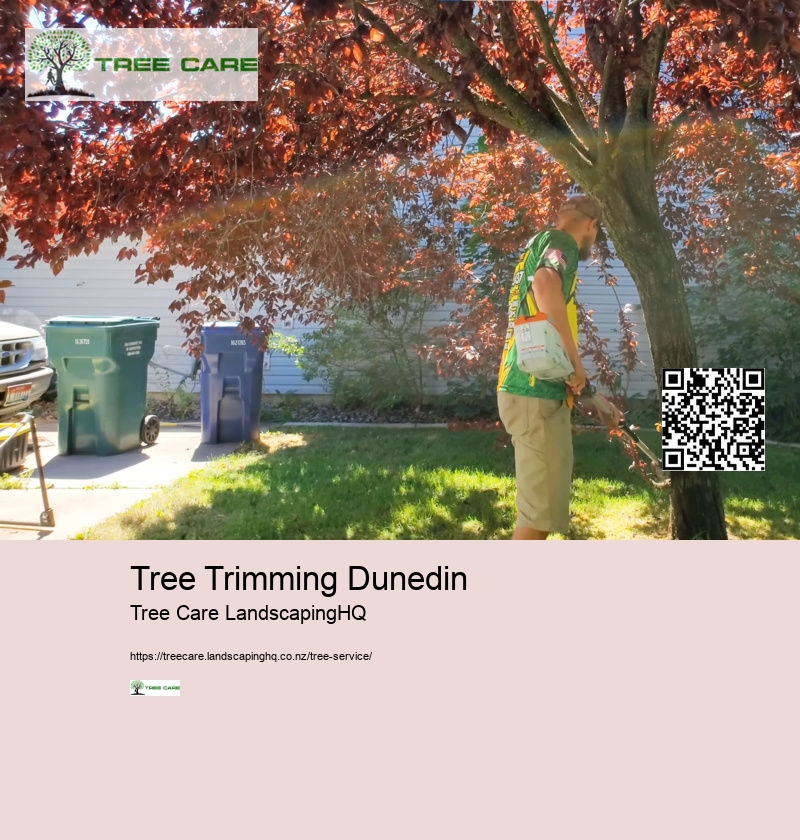 Tree Trimming Dunedin