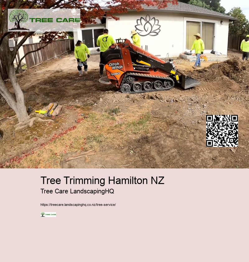 Tree Trimming Hamilton NZ