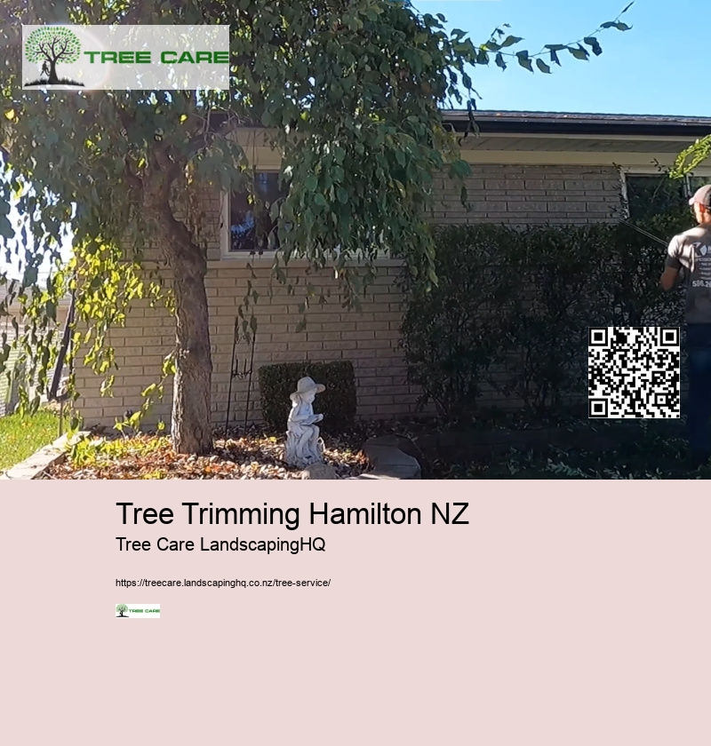 Arborist Hawkes Bay