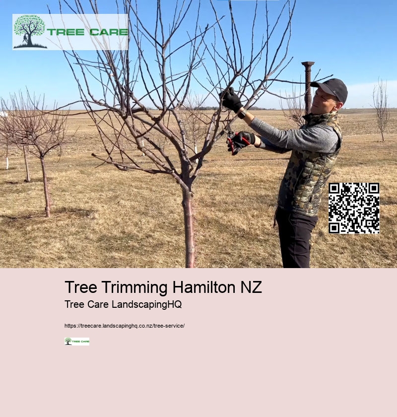 Arborist Dunedin NZ