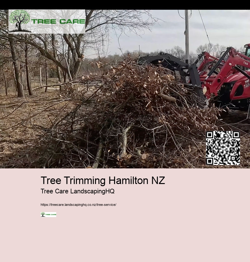 Tree Trimming East Auckland