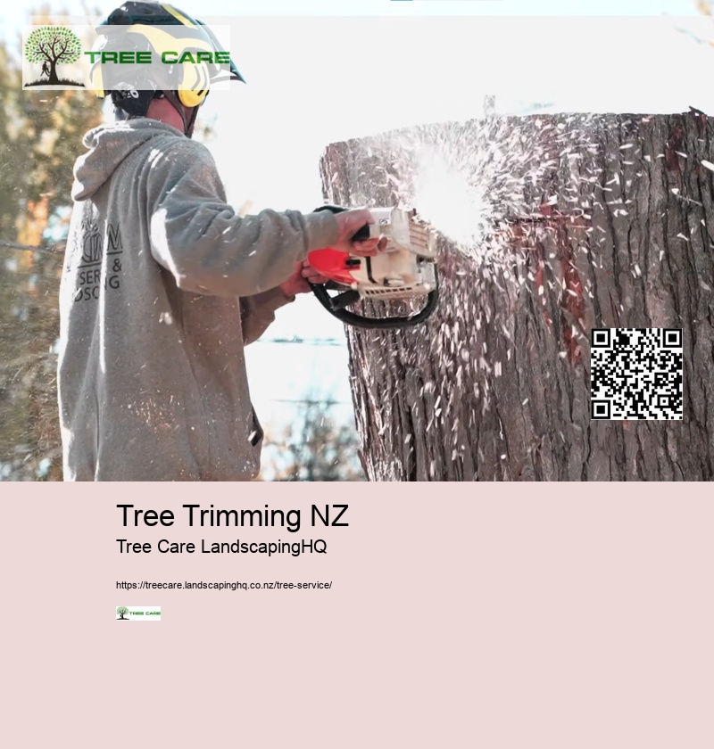 Tree Services Dunedin