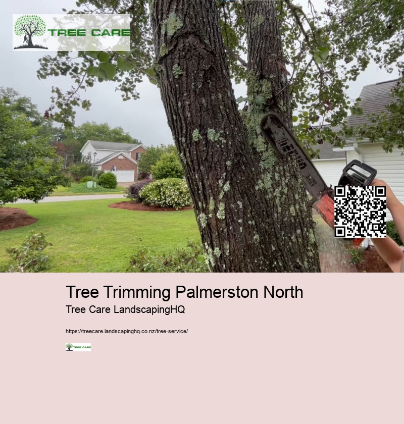 Tauranga Arborist