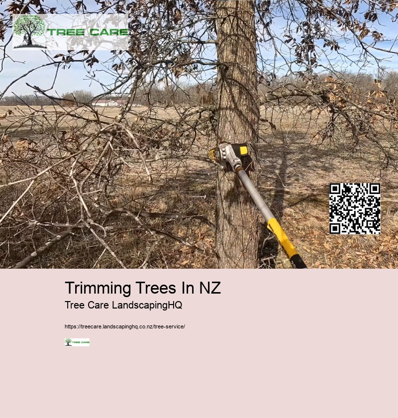 Trimming Trees In NZ