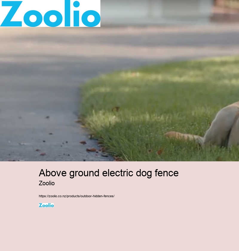 above ground electric dog fence