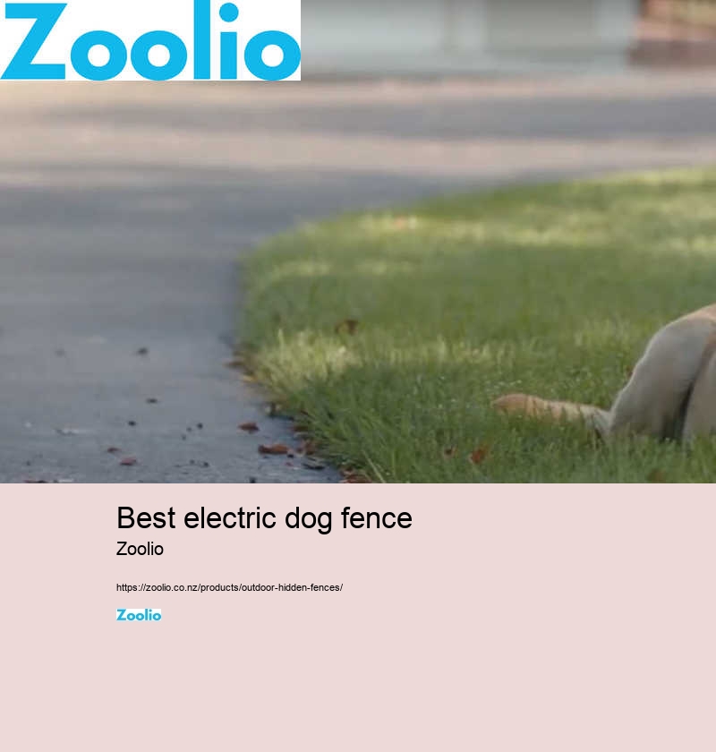 dog fence electric wire