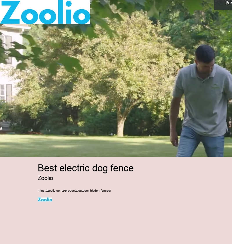 dog fence electric collar