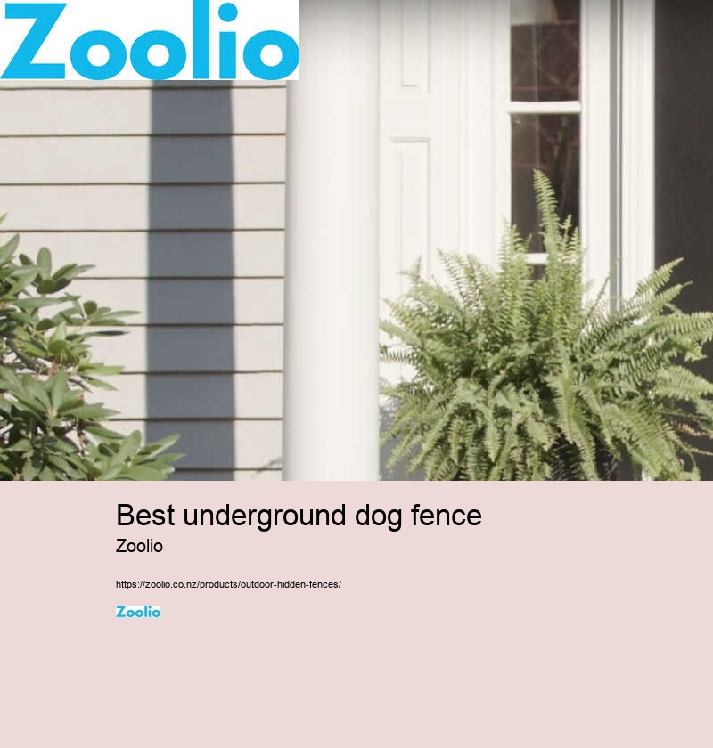 best underground dog fence