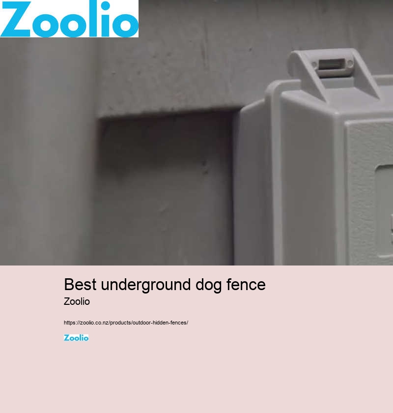 underground dog fence reviews