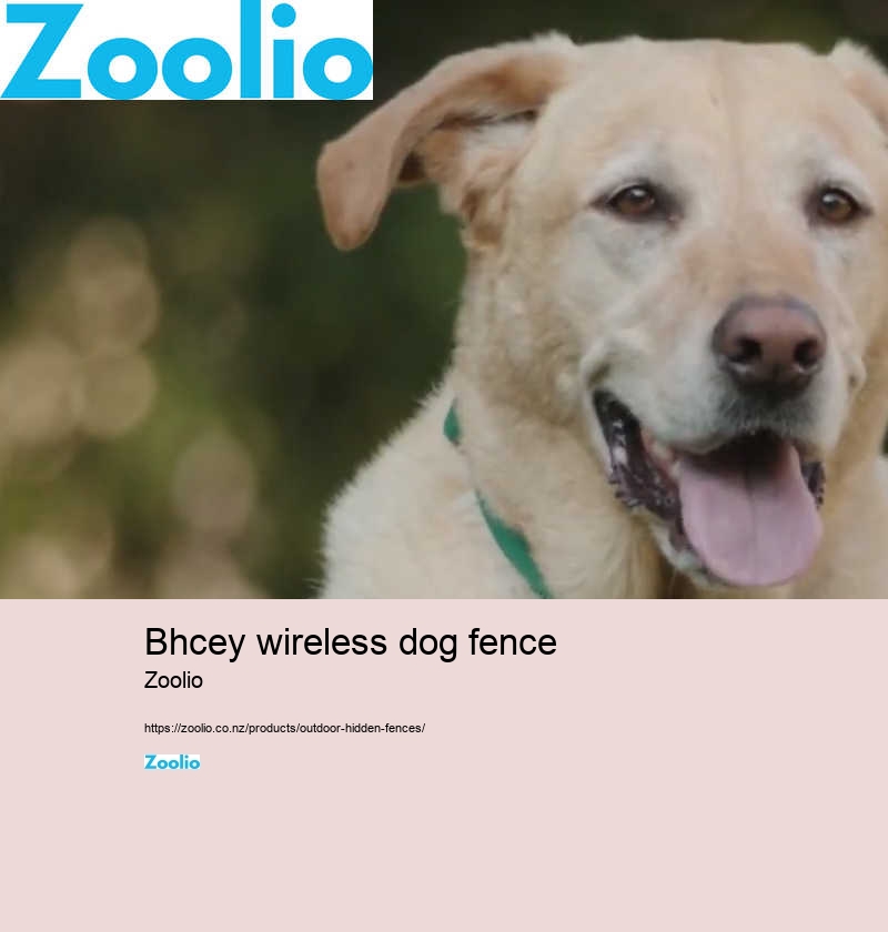 bhcey wireless dog fence