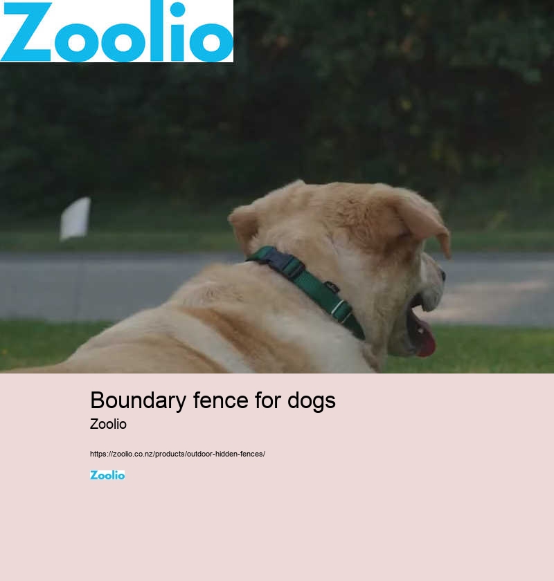 boundary fence for dogs