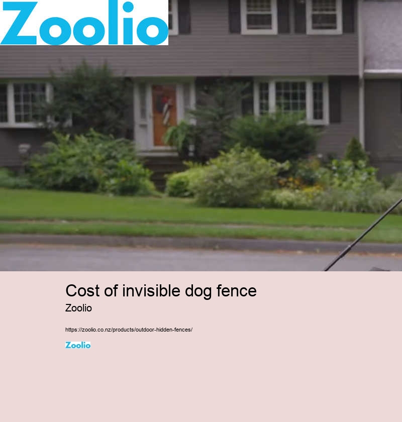 cost of invisible dog fence