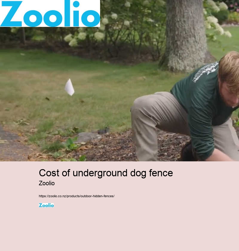 cost of underground dog fence