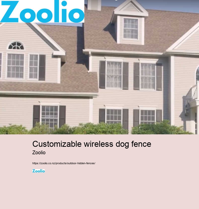 dog fence company