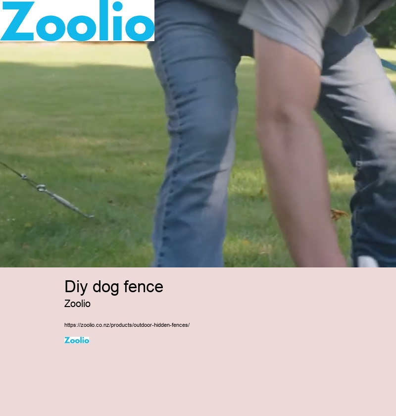 dog fence electric wireless