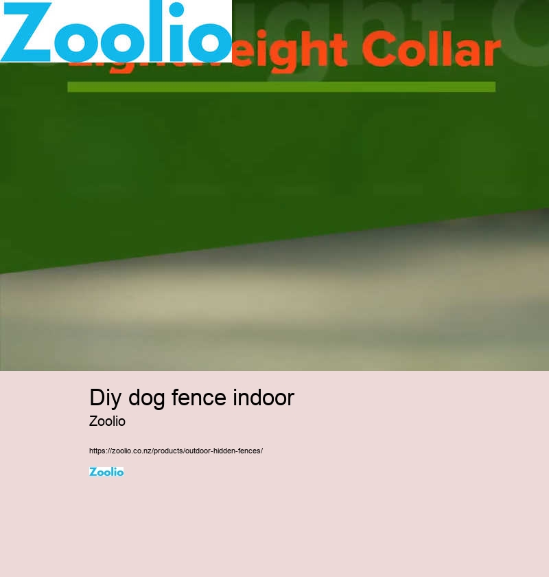 diy dog fence