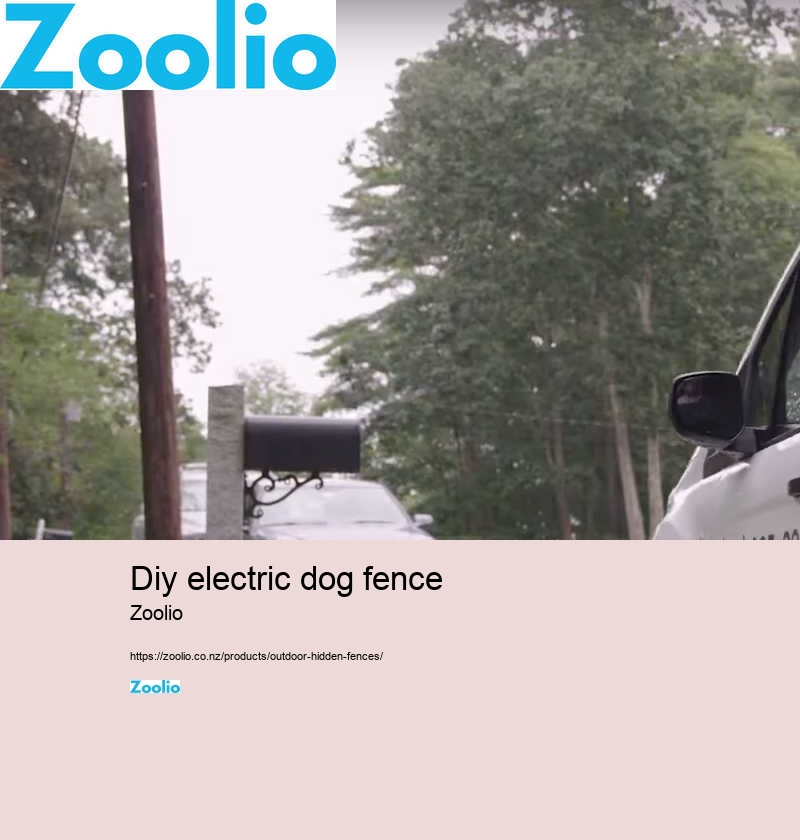 dog fencing nz