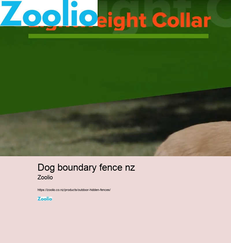 dog boundary fence nz