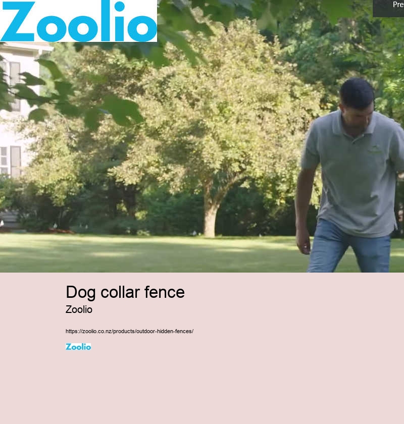 dog collar fence