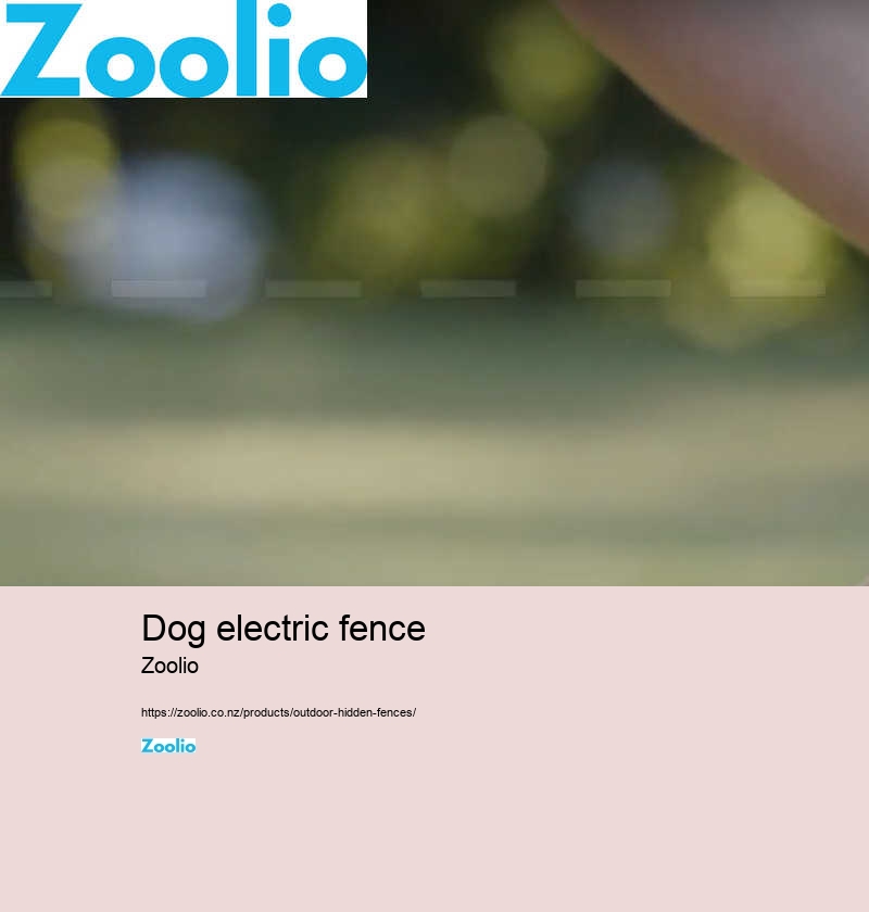 dog electric fence