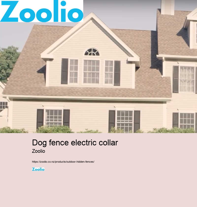 electric dog fence wireless