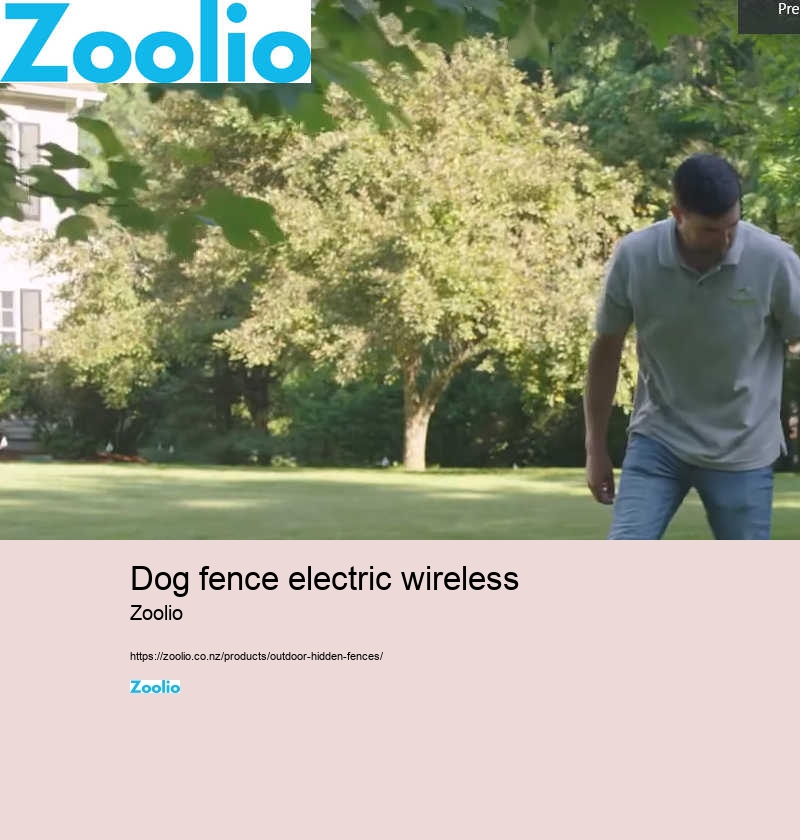 dog fence electric wireless