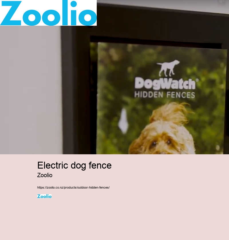 dog fence electric wireless