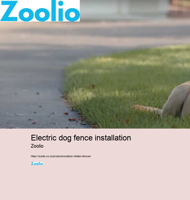 electric dog fence installation