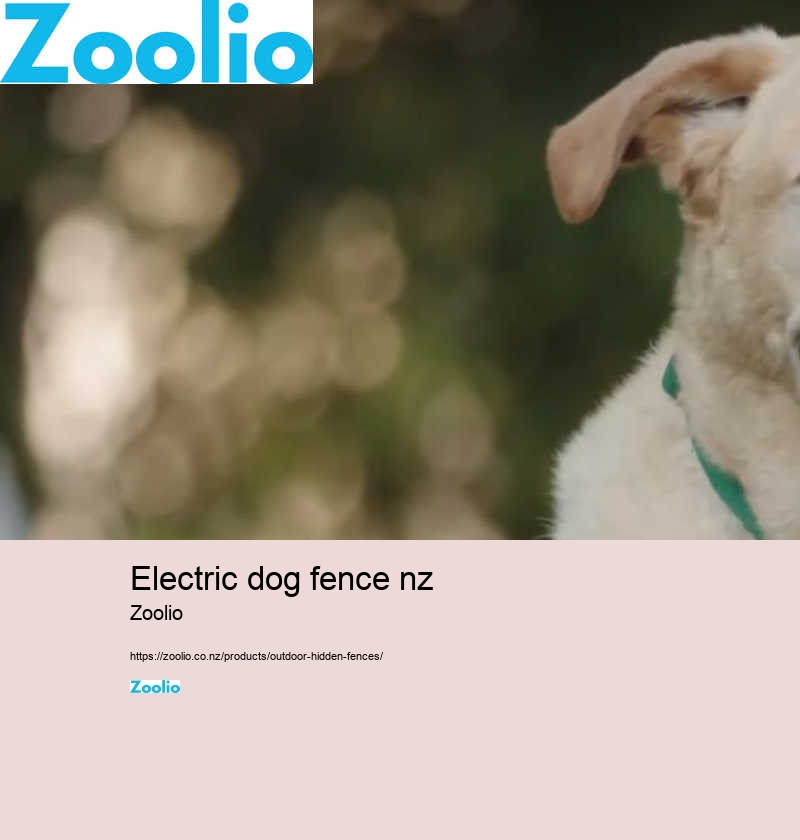 electric dog fence nz