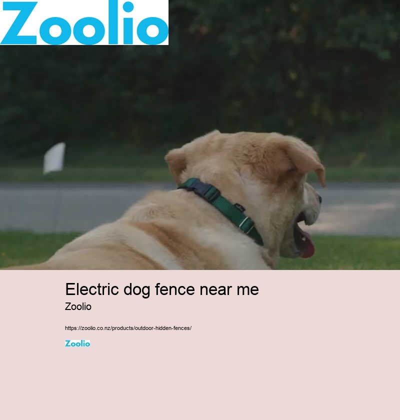 dog fence electric